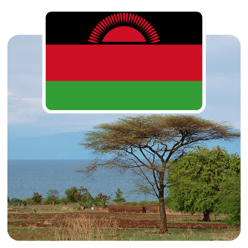 Travel eSIM for Malawi